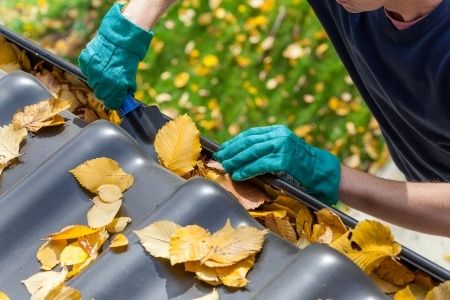 Fall Leaves Clogged Gutters