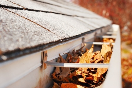 Preparing a Roof for Fall and Winter