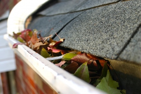 Don’t Forget to Clean Your Gutters Before the Snow Flies
