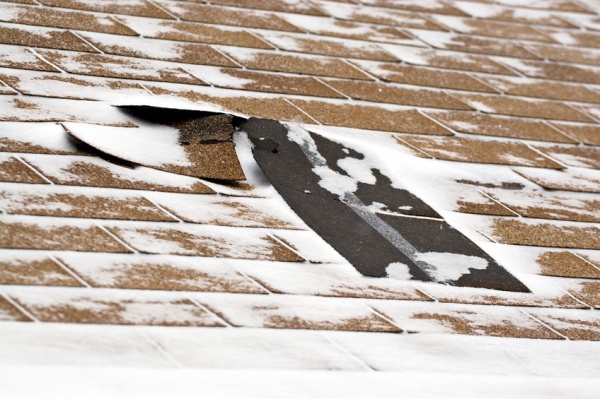 Common Environmental Hazards That Can Harm Your Roof