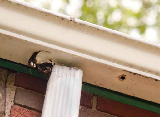 Fanwood Gutter Repair