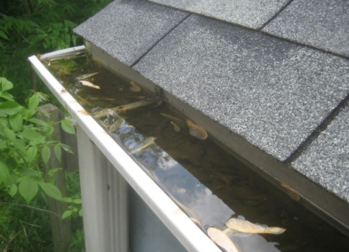 Wayne Gutter Repair