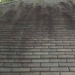 Warren Roof Cleaning