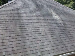 Union County Roof Cleaning Service