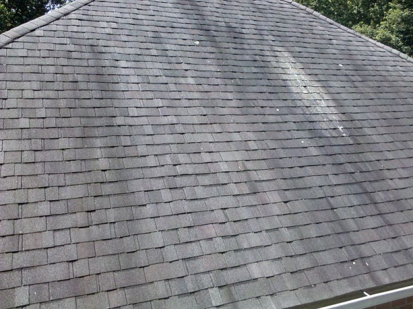 Union County Roof Cleaning