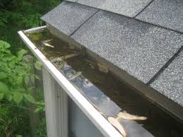 Gutter Cleaning Company