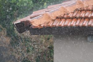 Belleville Gutter Cleaning Service