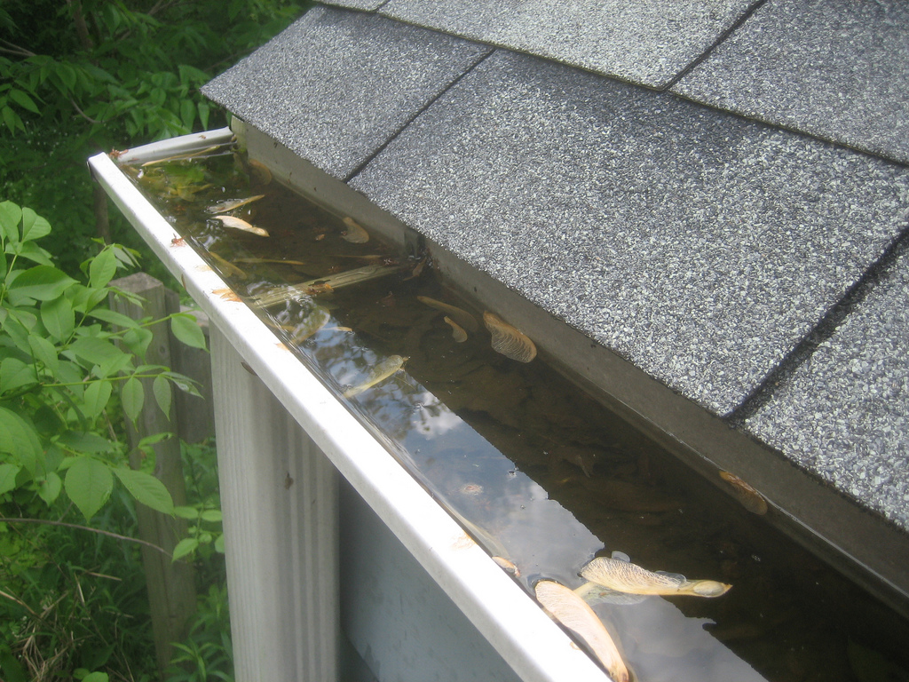 Nutley Gutter Cleaning