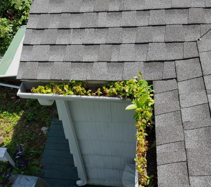 Scotch Plains Gutter Cleaning