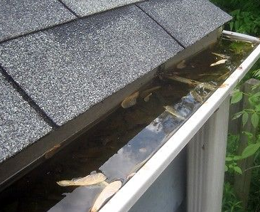 Garwood Gutter Cleaning