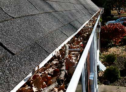 South Plainfield Gutter Cleaning