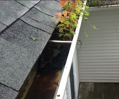 Edison Gutter Cleaning