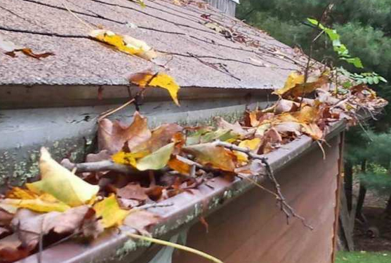 Fanwood Gutter Cleaning