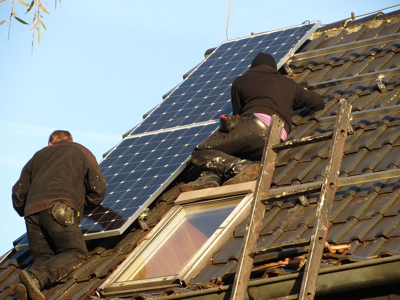 Roofer Westfield