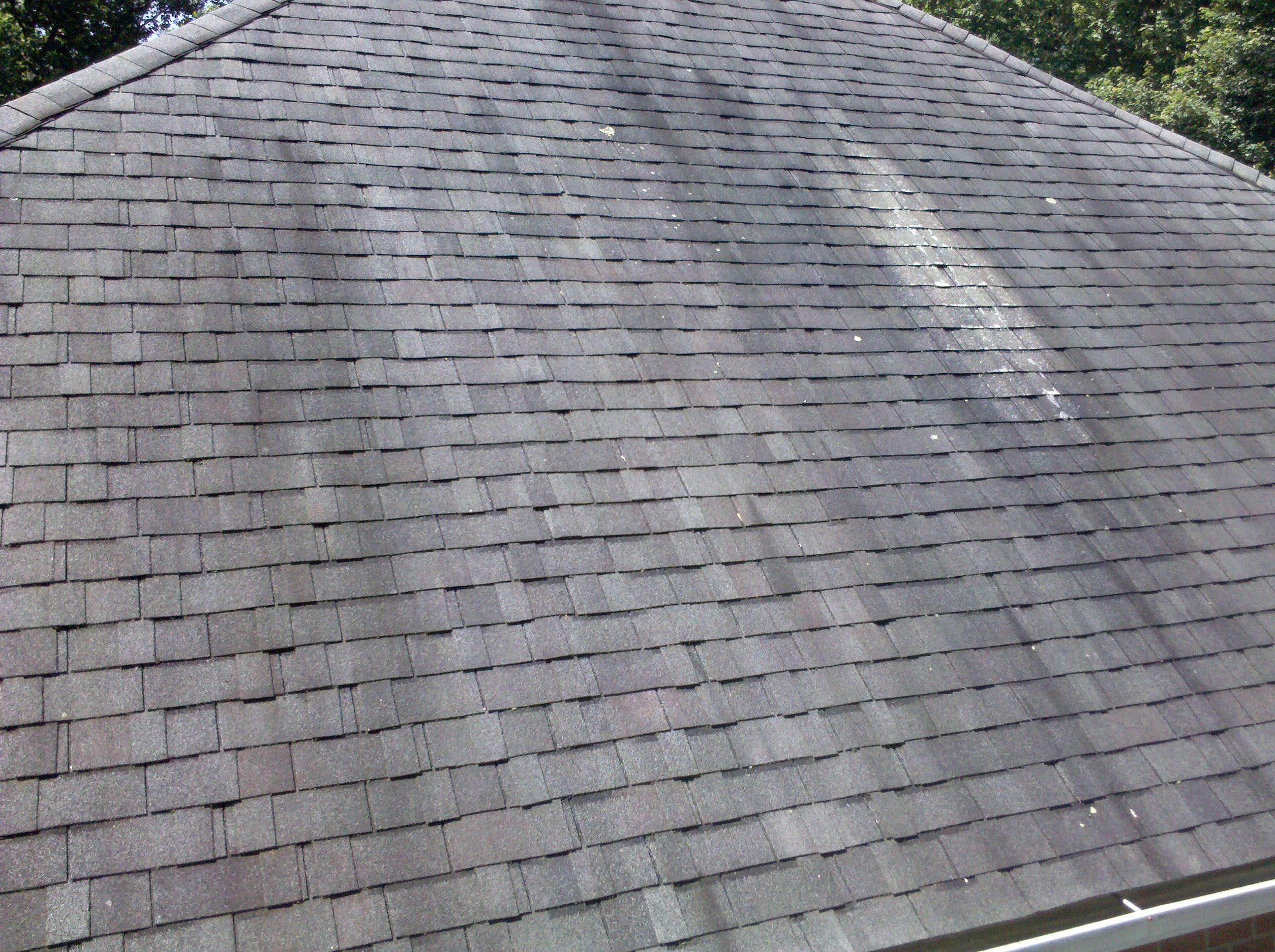 Professional Piscataway Roof Mold Removal
