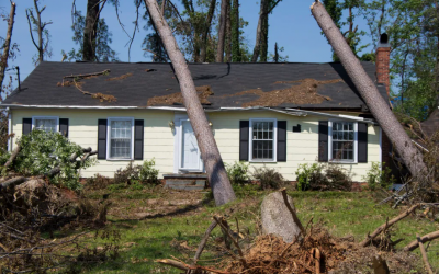 Union County Roof