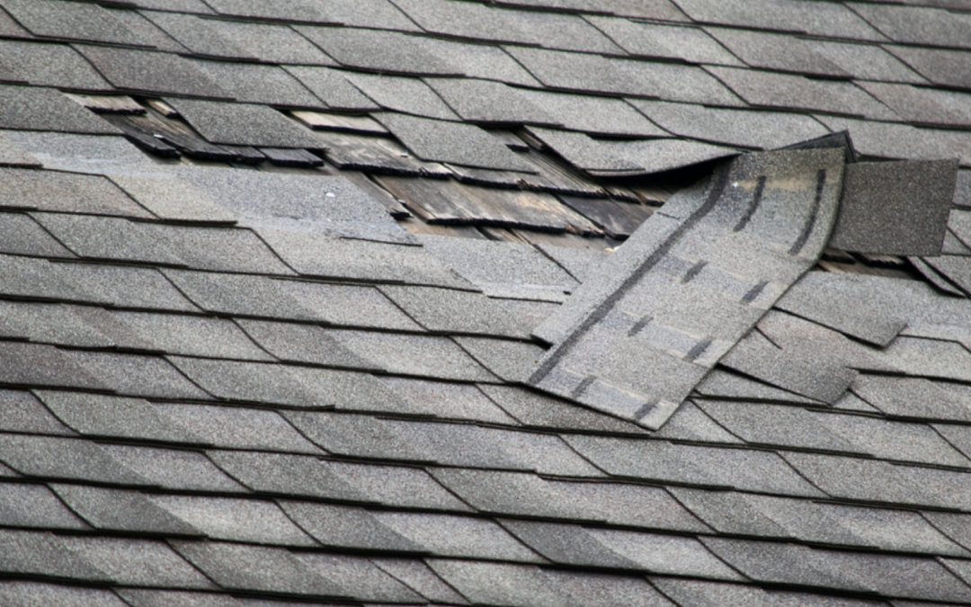 Somerville Roofing Contractor