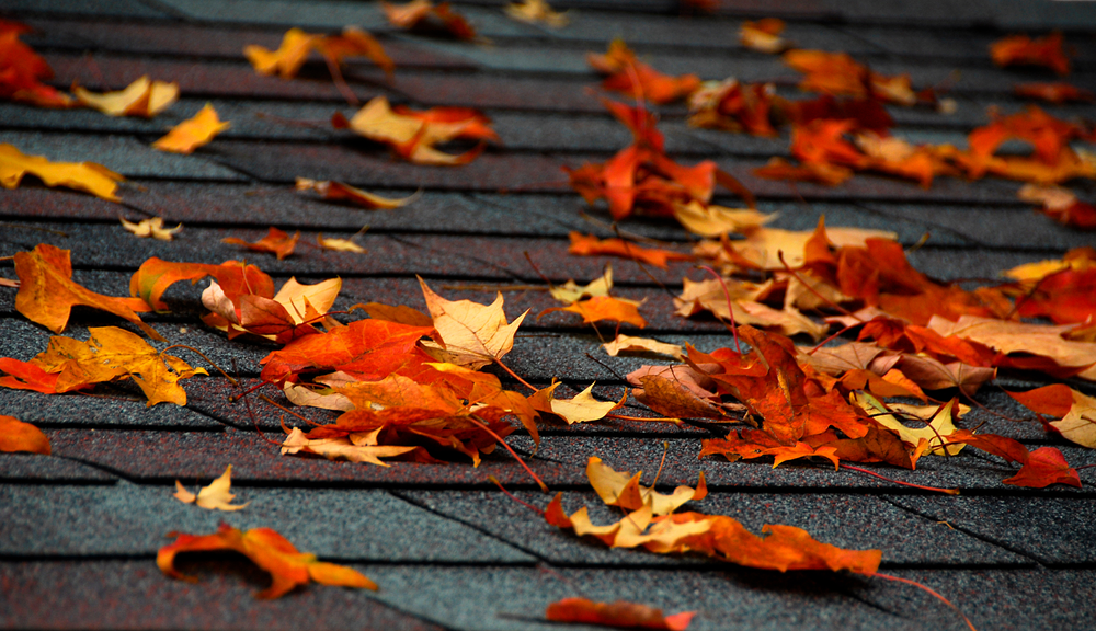 Reasons to Schedule a Roof Inspection Before This Winter