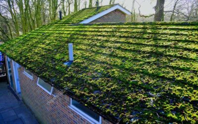 Recognize winter roofing damage
