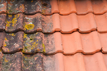 Spring Cleaning your Roof