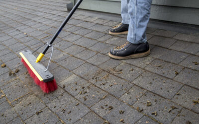 Spring Roof Maintenance