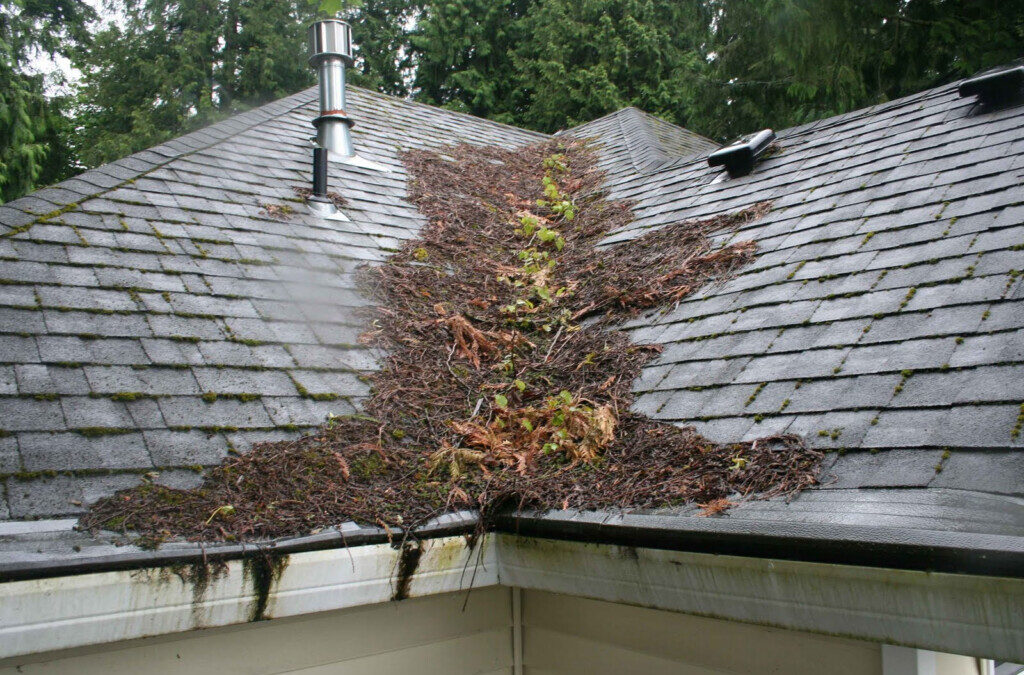 Spring into action on your roof
