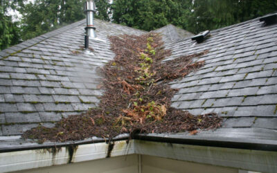 Spring into action on your roof