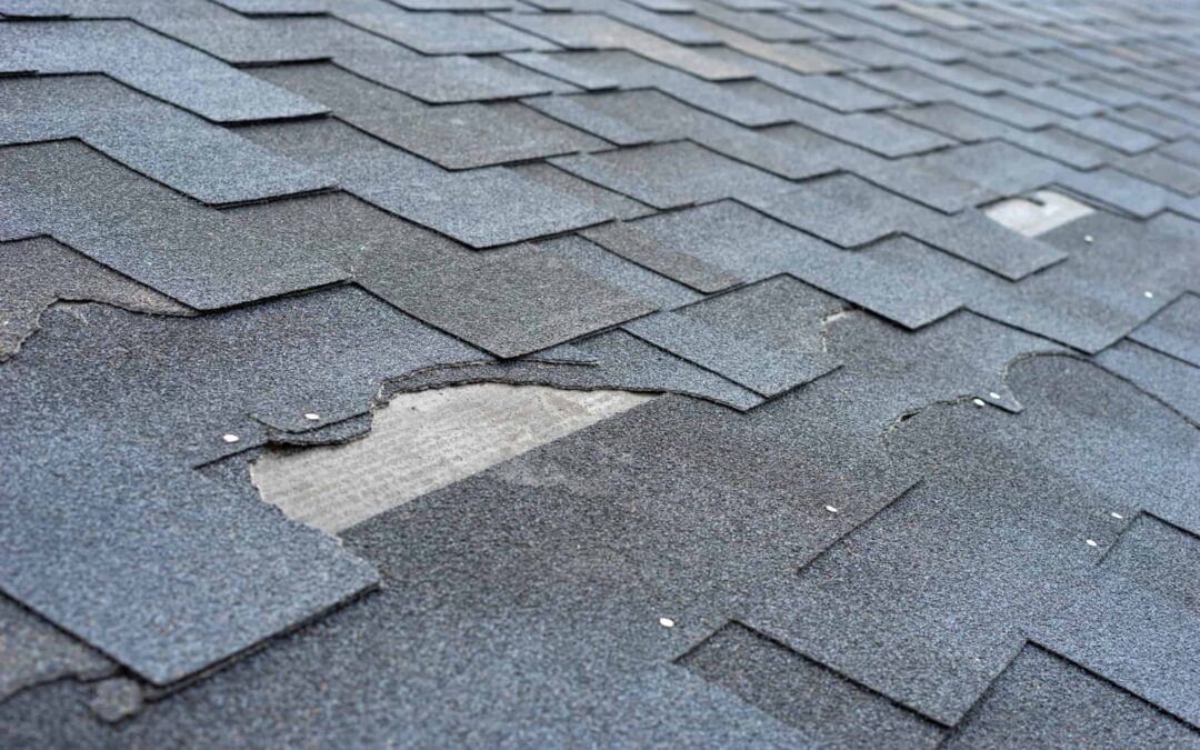 Roofing Materials That Stand Up Against Wind Damage
