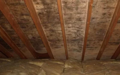 Winter Condensation in Attics