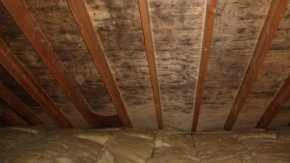 Winter Condensation in Attics