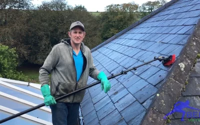 Slate roofs need spring cleaning