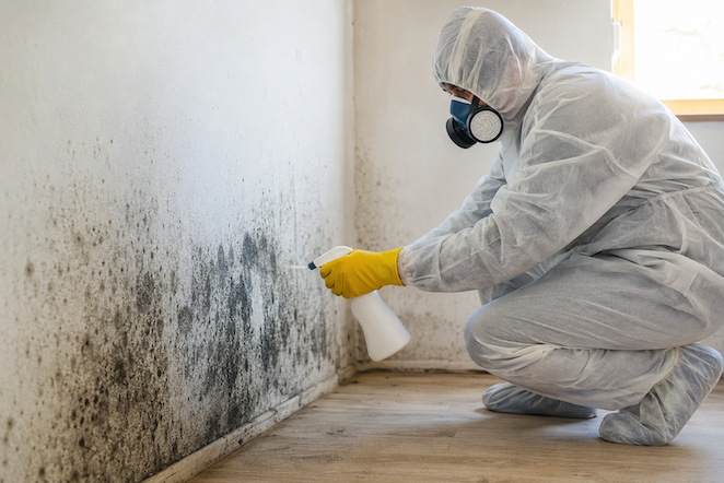 Mold Remediation in Bergen County
