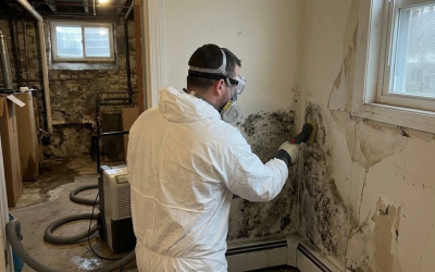 Mold Removal in Cranford: Common Causes of Mold in Local Homes